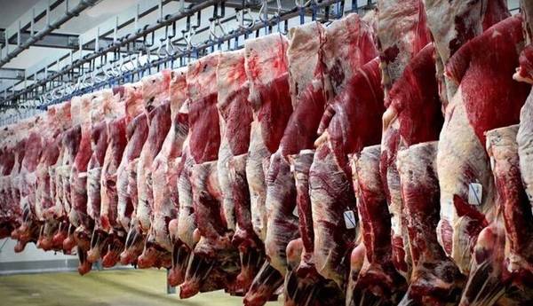 افزایش ۱۸ درصدی عرضه گوشت قرمز